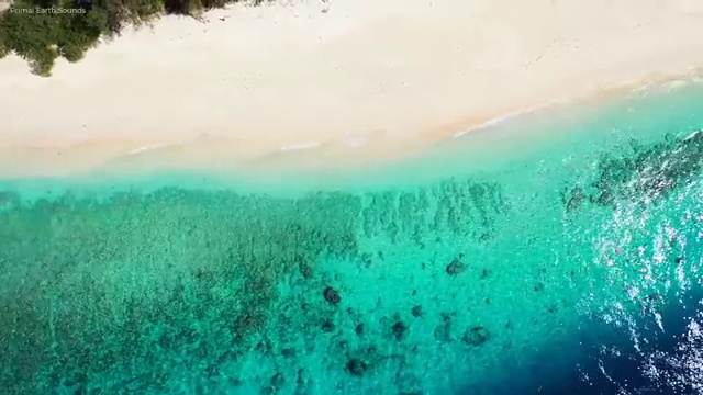  병원코디네이터 자격증 비용 , 병원코디네이터 자격증 1달 만에 취득한 방법 궁금증 해결