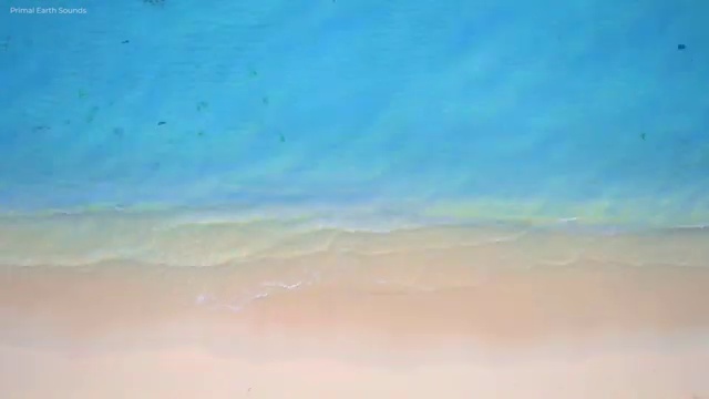 코디네이터구인구직 , 뷰티코디네이터 자격증 20일 만에 준비한 과정 궁금증 해결