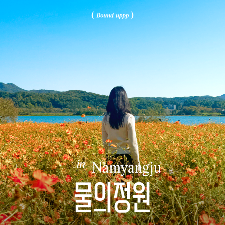  서울근교 팔당 물의정원 황화코스모스 가는길 주차 입장료