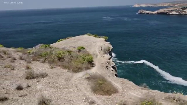  부동산매매 계약서류 , 부동산자산관리전문가 부동산자산관리사자격증 합격 전략 및 취업 전망