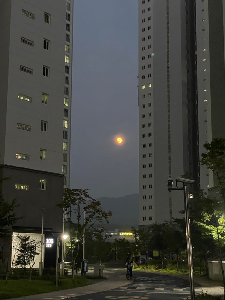  2024년 10월 월기(月記) :: 다채로운 날들
