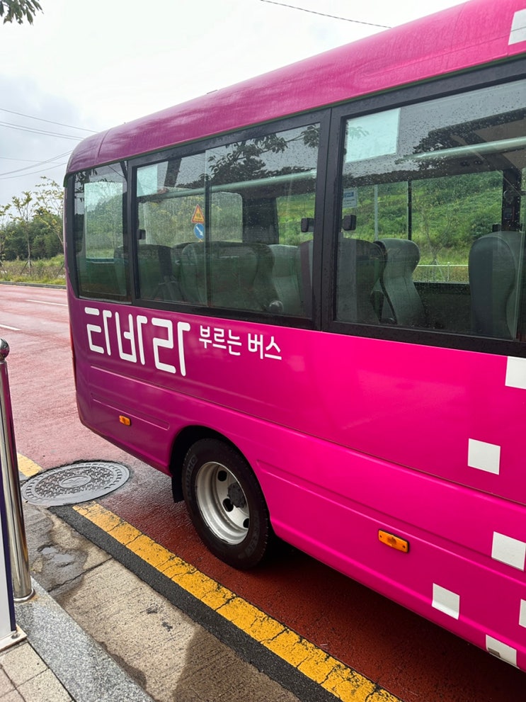 부산 기장 부르는 버스 타바라 사용 후기