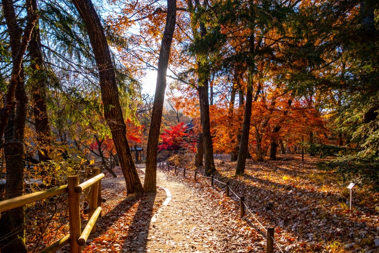  포천 _ 국립수목원