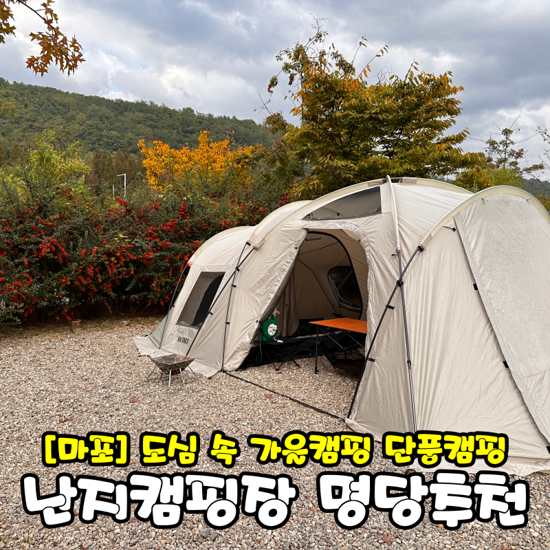 [마포/상암] 가을캠 단풍캠 D구역 명당 추천 '난지캠핑장'