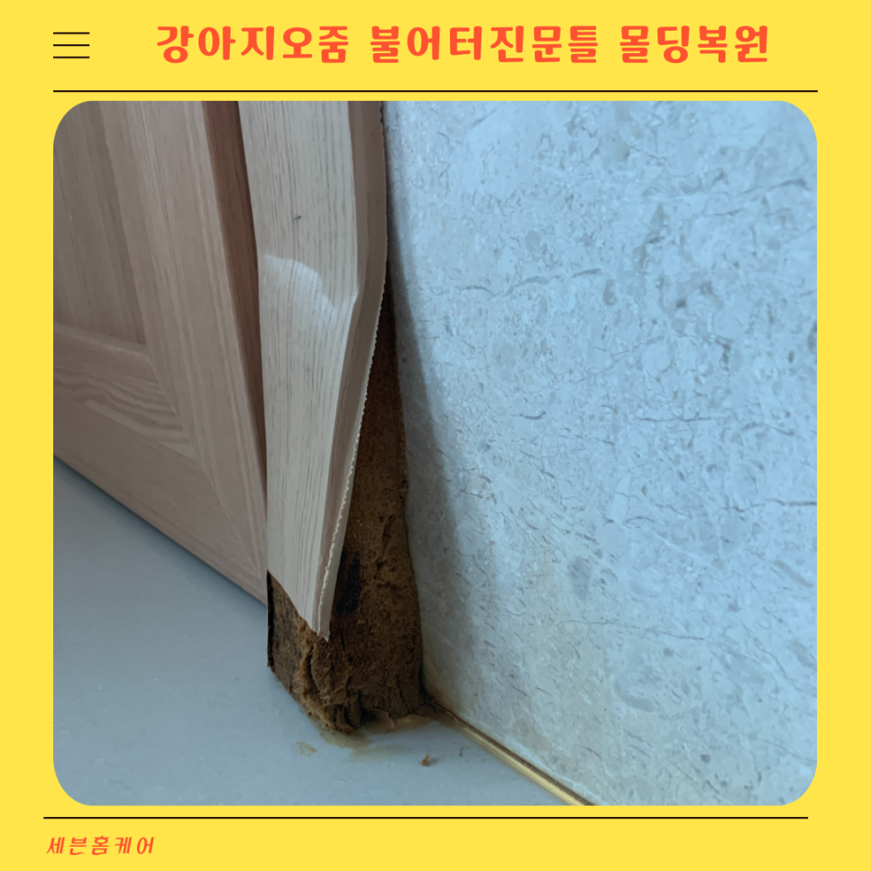 강아지 오줌 불어터진문틀 몰딩 복원수리