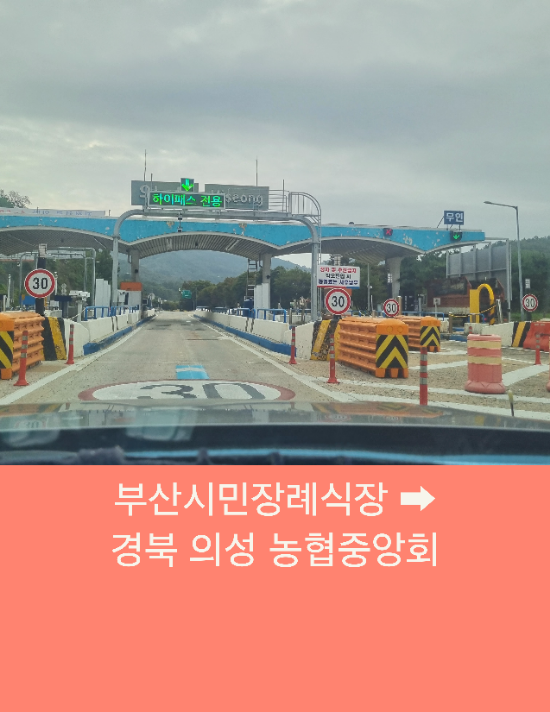  부산콜택시 부산에서 의성까지 부산택시예약운행