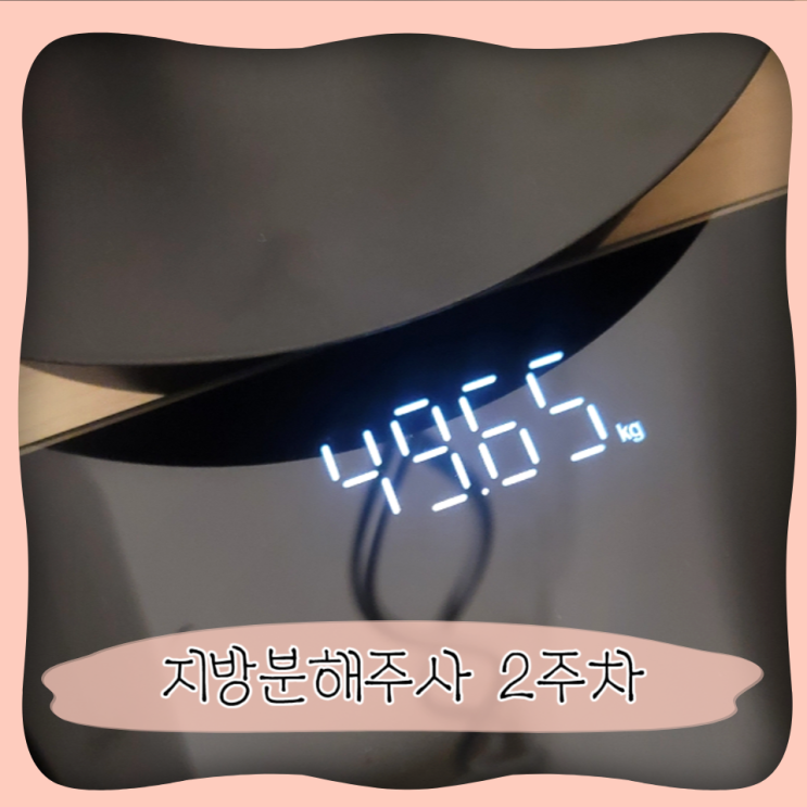  복부지방분해주사 가격 ㅣ 병원 2주차 후기
