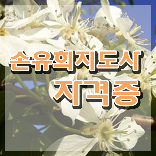  손유희지도사전문학교추천 , 손유희지도사 자격증 학습한 후기 완벽 정리