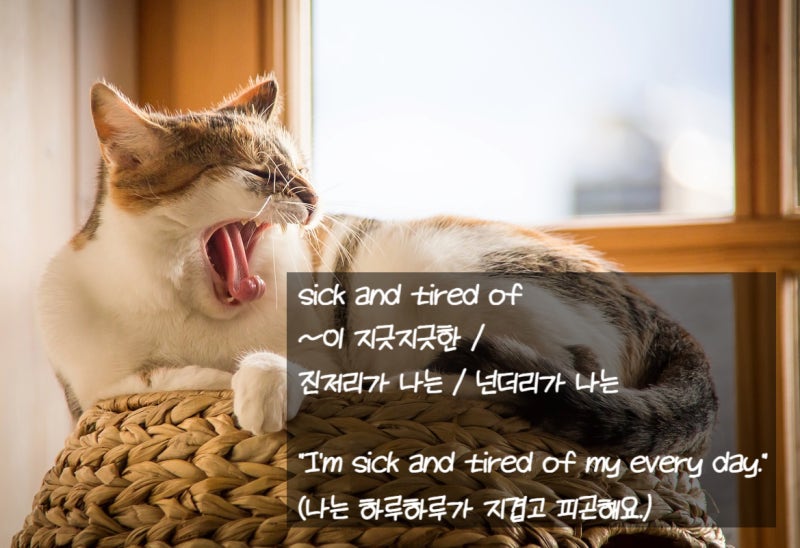 [영어 관용어] sick and tired of 영어구_지긋지긋한 영어로_지코 아무노래