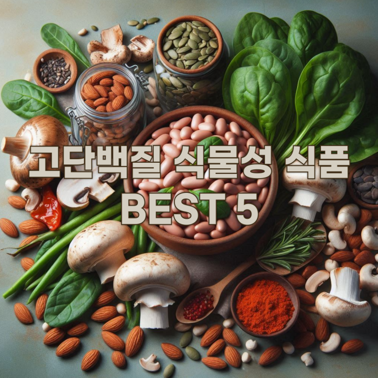  고기 없이도 가능! 다이어트와 근육에 좋은 고단백질 식물성 식품 BEST 5