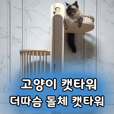  고급 원목 캣타워 추천 더따슴 돌체 캣타워 조립 및 사용 후기