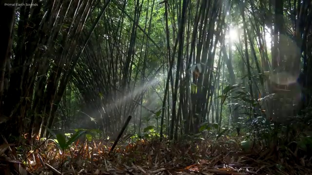  순천경매학원 , 부동산권리분석사자격증 취득 정보 , 급여