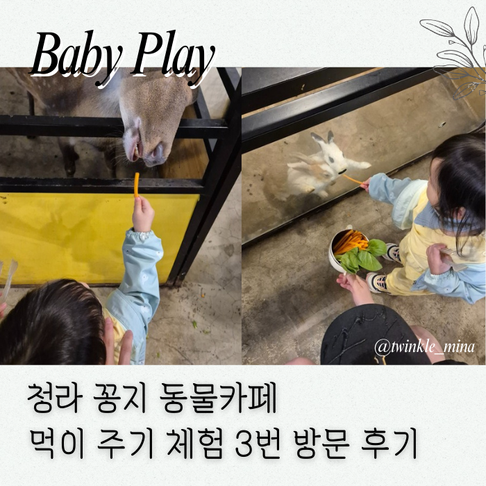  청라 꽁지 : 아이와 함께 동물 먹이주기 테마 카페