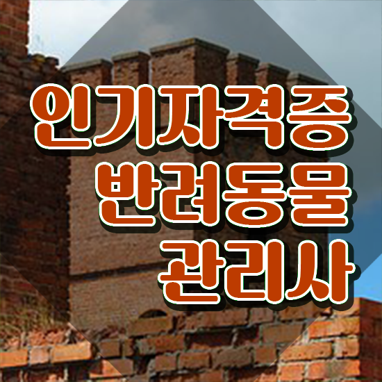  반려동물관리사2급 , 반려동물관리사 자격증 15일 만에 취득한 노하우 , 취업