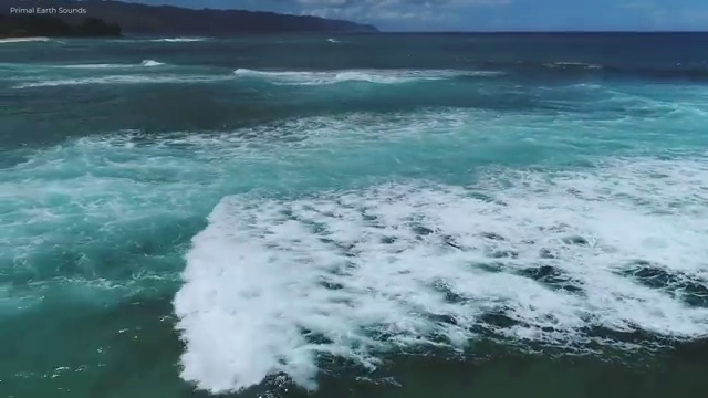  부동산개발 자격증 , 부동산권리분석사자격증 준비한 방법 , 향후 전망