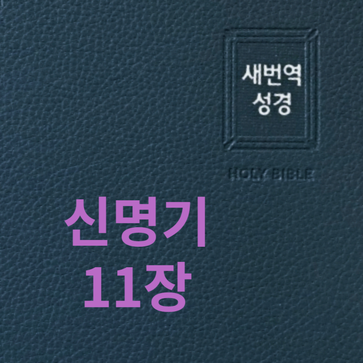 신명기 11장 신명기 11장