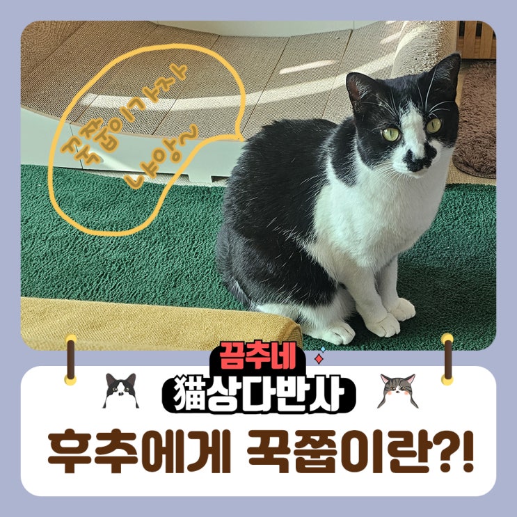  꾹쭙이에 도른냥 그이름 후추