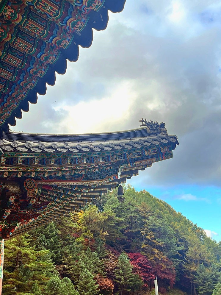  [단양여행 2편] 단풍여행 필수코스 구인사 후기(11월 2일 기준)