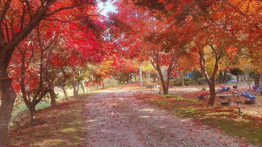 호랑바우펜션 사진 3