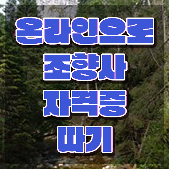  대구 조향사 , 조향사 합격 전략 , 활용 방법과 전망