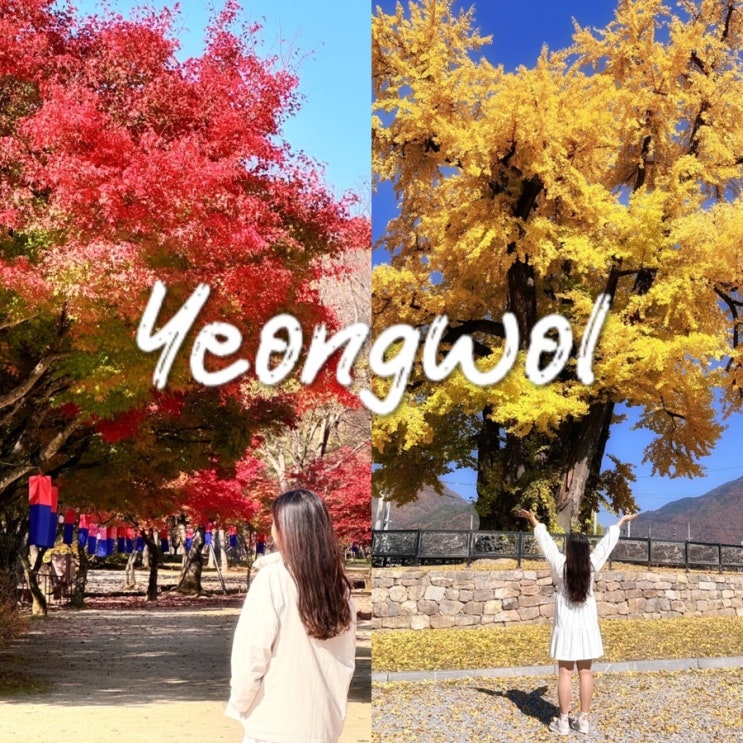  강원도 단풍 명소 영월 가볼만한곳 단풍 구경 best5 가을 국내여행