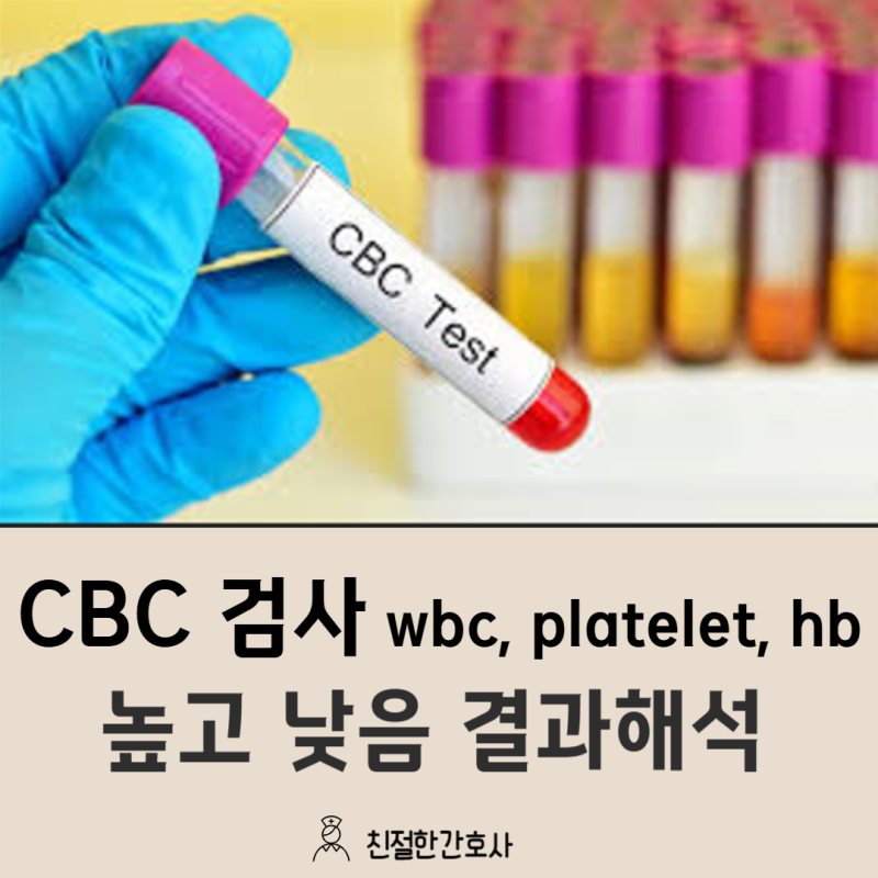 CBC검사 wbc, platelet, hb 주요 항목 수치 높고 낮음 해석 : 네이버 블로그
