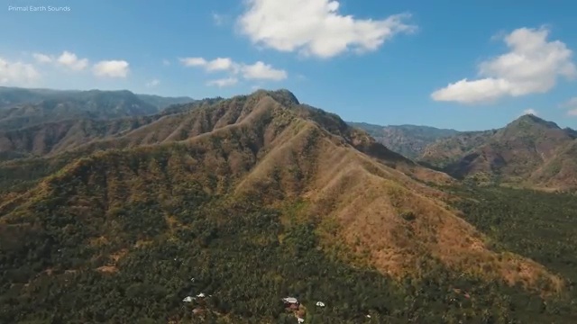  노인자원봉사실천론 , 자원봉사지도사 자격증 15일 만에 합격정보 확인하기