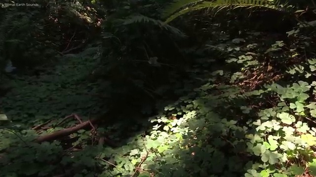  학점은행제 플래너 추천 , 학점은행제 플래너 활용해보세요. . 비용 절감 시간 단축 과정 완벽 정리