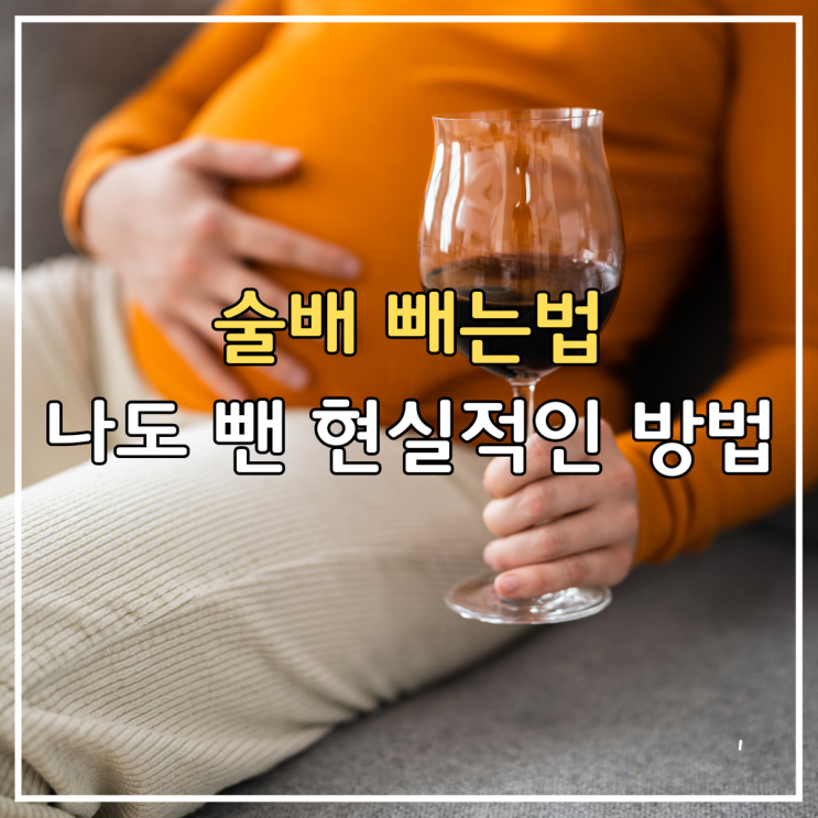  술배 빼는법 나도 성공한 현실적인 다이어트 방법