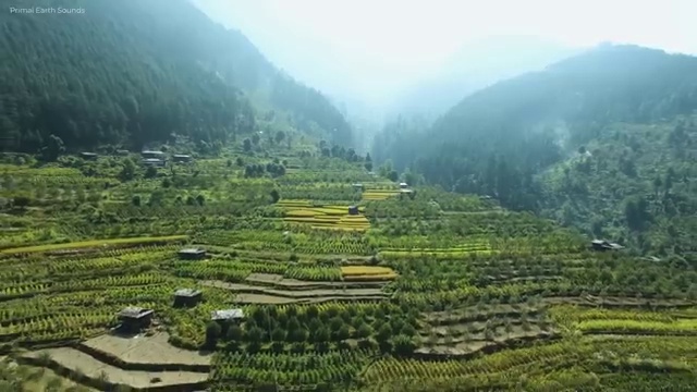  부동산자산관리사 자격증 , 부동산자산관리전문가 부동산자산관리사 인강으로 간편하게 취득방법