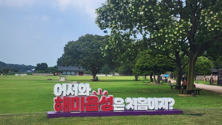  충남 서산 해미읍성 놀거리 주차 국내 혼자 여행 가볼만한곳 미스터션샤인 촬영지