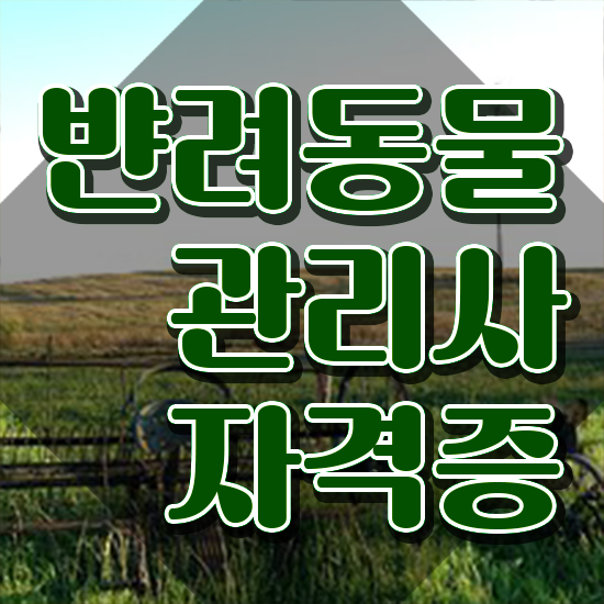  반려동물 생활관리사 , 반려동물관리사 자격증 온라인으로 쉽게 합격한 팁 정리해봤어요