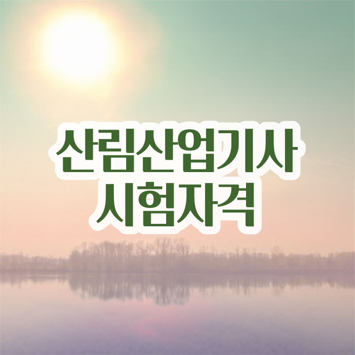  산림산업기사 시험응시자격 온라인 수업으로 빠르게 완료한 과정