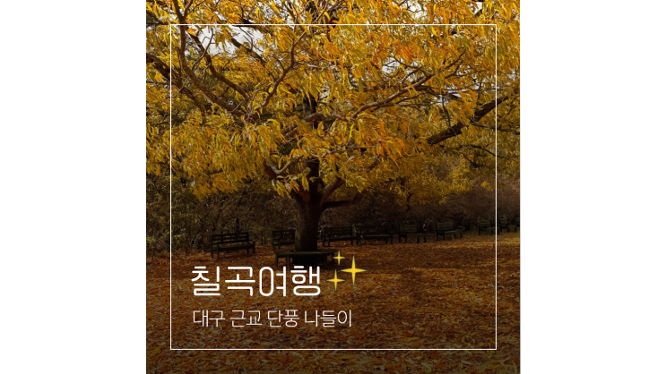 대구근교 단풍 나들이 가실성당부터 꿀벌나라테마공원 송림사까지 칠곡 가볼만한곳 대구근교 단풍 나들이 가실성당부터 꿀벌나라테마공원 송림사까지 칠곡 가볼만한곳