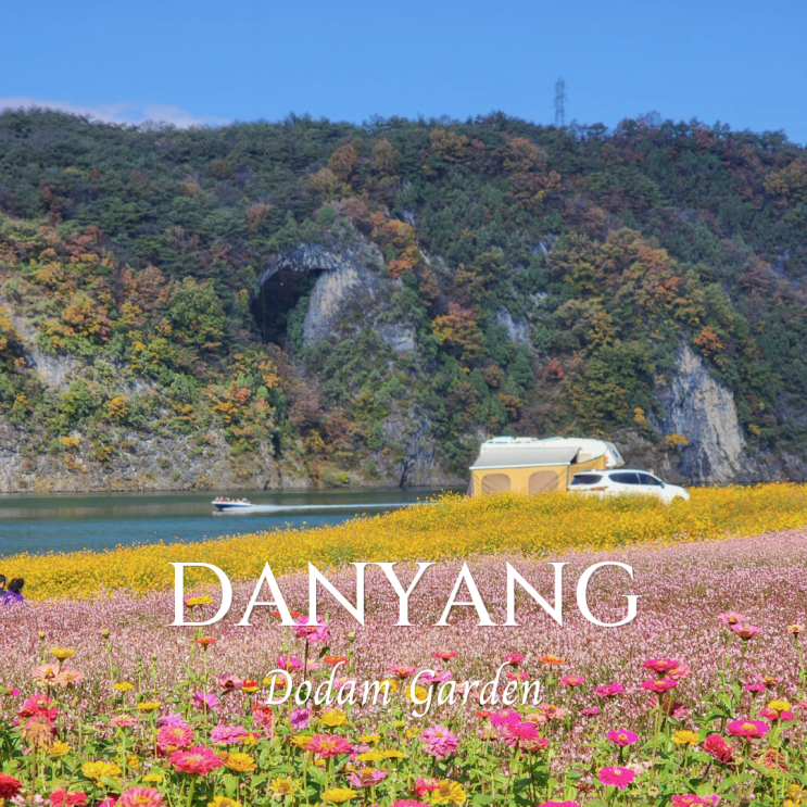  충북 단양 가볼만한곳 가을꽃이 예쁜 도담정원 석문