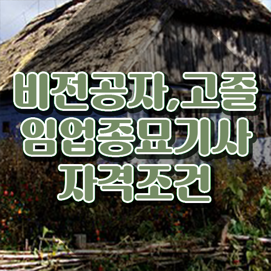  임업종묘기사 응시자격확인 임업종묘기사 응시조건 집에서 온라인으로 간단하게 성공한 팁