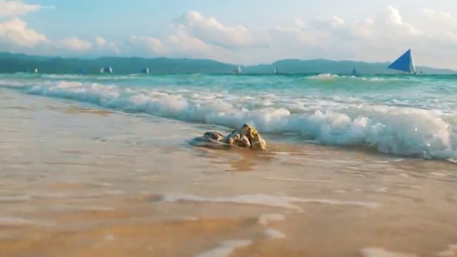  아로마뷰티diy지도사 독학 , 아로마뷰티DIY지도사 자격증 쉽고 간편하게 취득했던 후기 , 취업 전망