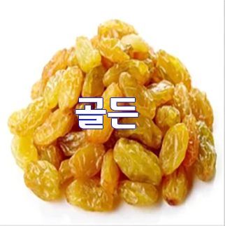  (인디샘) 인도 건포도/raisin 공장 가격/수출 가격/도매 가격 알아보기