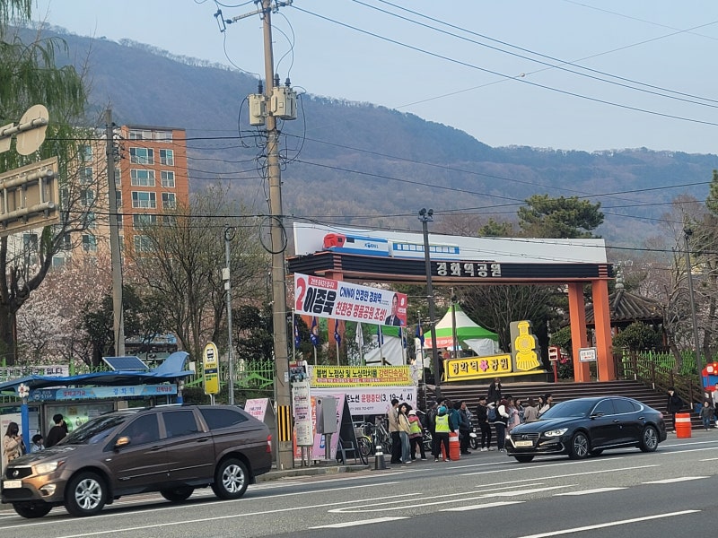 사진 5