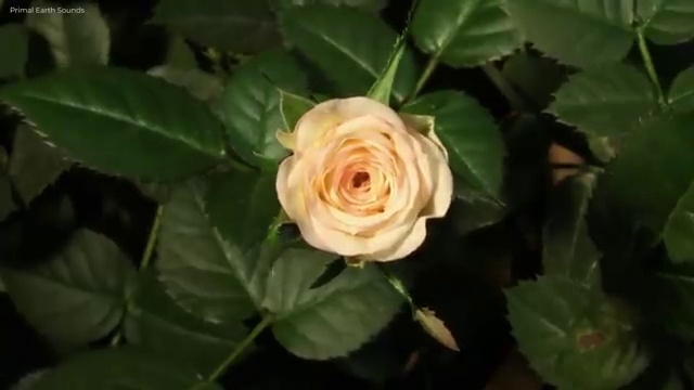  건물 안전관리사 , 집합건물관리사자격증 합격한 후기 , 무료수강