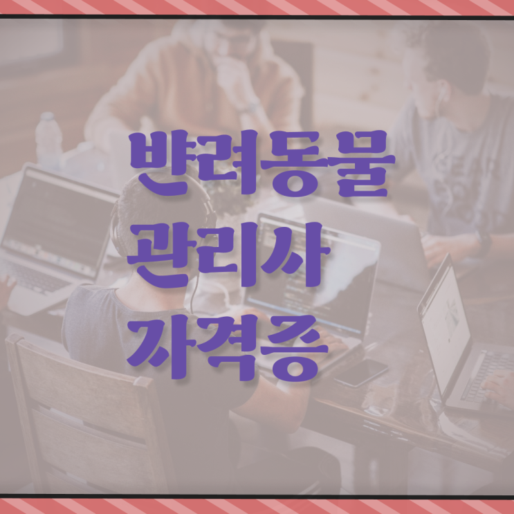  반려동물종합관리사 , 반려동물관리사 자격증 온라인 교육으로 합격한 팁 정보 퍼펙트 요약