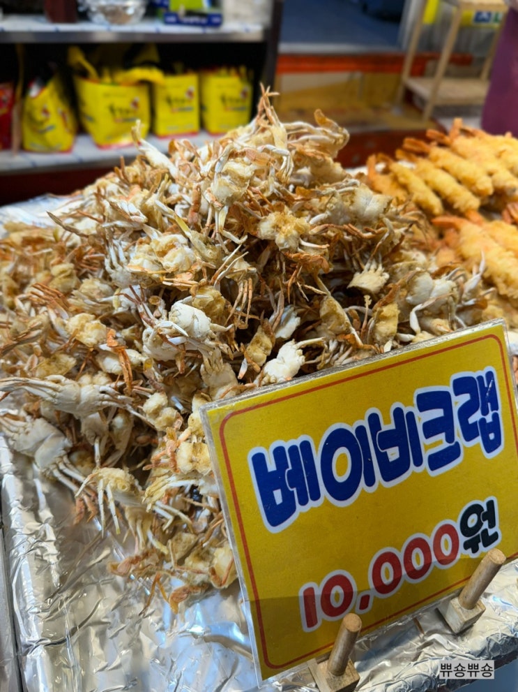  해장엔 속초 중앙시장 맛집 맛이부자튀김맛집