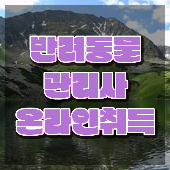  반려동물식품관리사 , 반려동물관리사 자격증 온라인으로 합격한 팁 총 정리