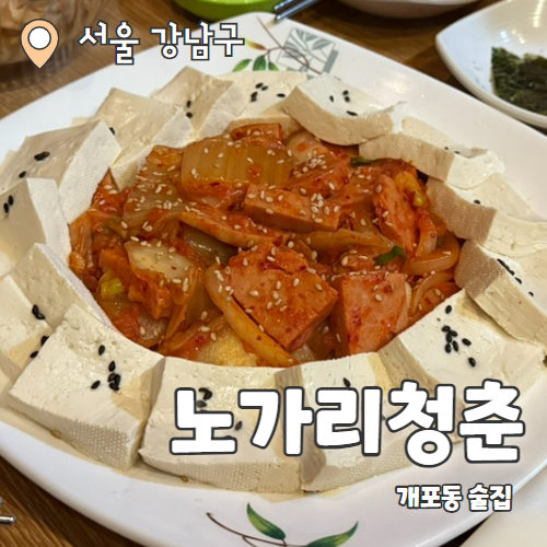  노가리청춘 : 2차로 가기 좋은 개포동 포차술집 내돈내산 후기