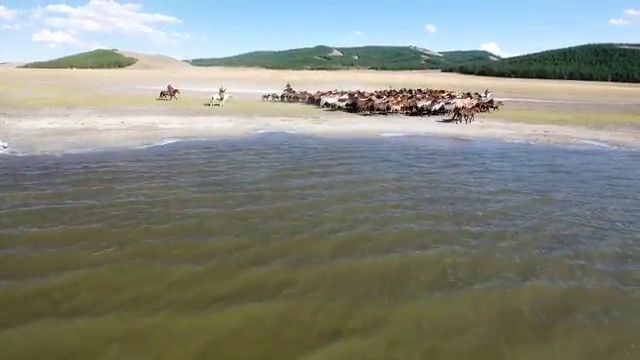  2급아동심리상담사아카데미 , 아동심리상담사 자격증 간단하게 준비한 방법 , 취업정보