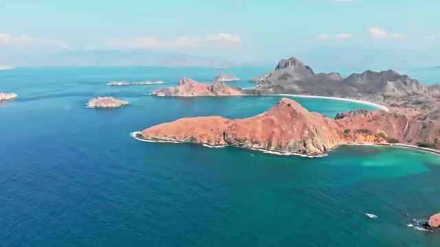  상가 경매 권리분석 , 응시자격 없이 부동산권리분석사자격증 취득한 노하우
