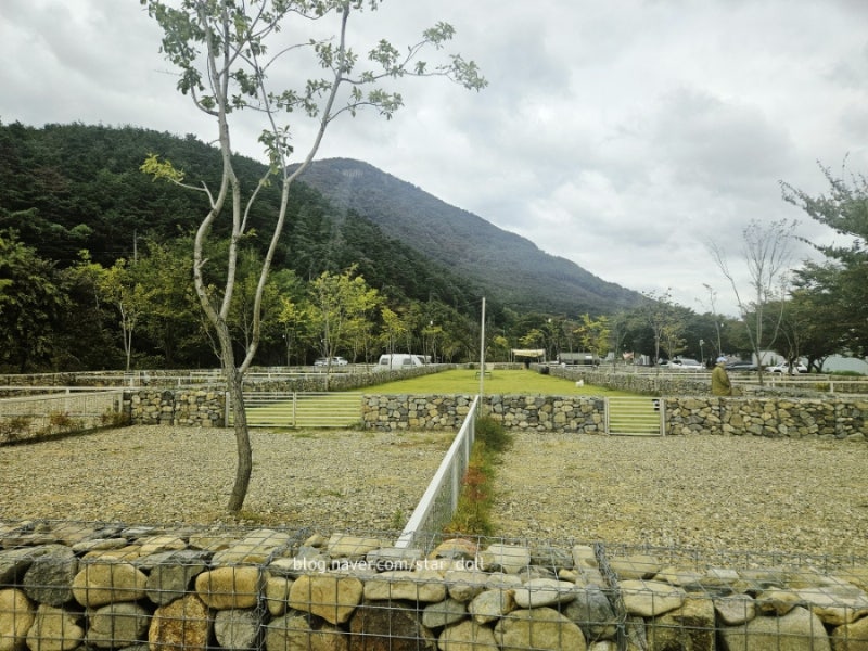 사진 3