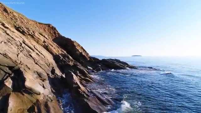  경영학 경제학 , 경영학 학위 대학진학, 경력없이 혼자서 독학으로 쉽고 빠르게 준비하는 노하우