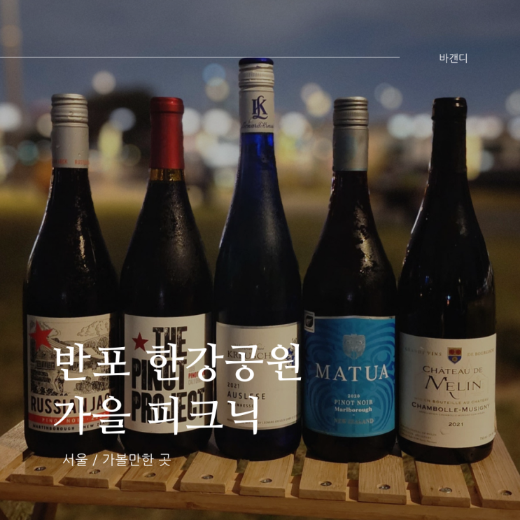  반포 한강공원 와인 피크닉 / 텐트존 명당, 주차장, 배달존