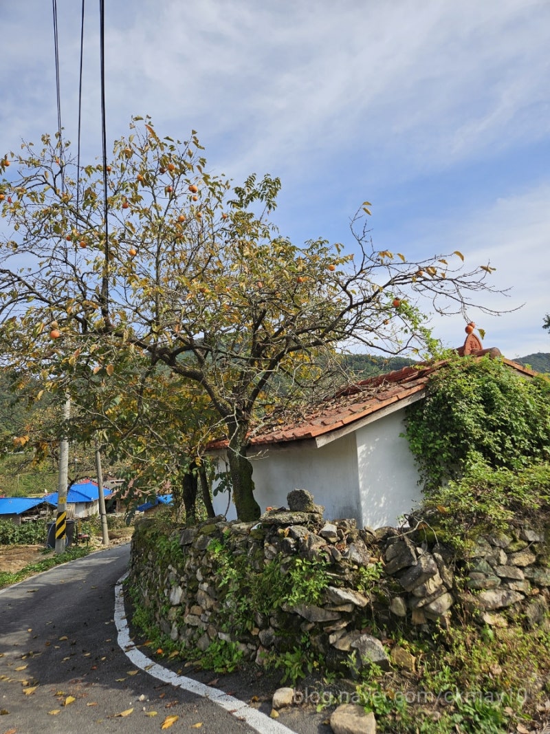사진 4